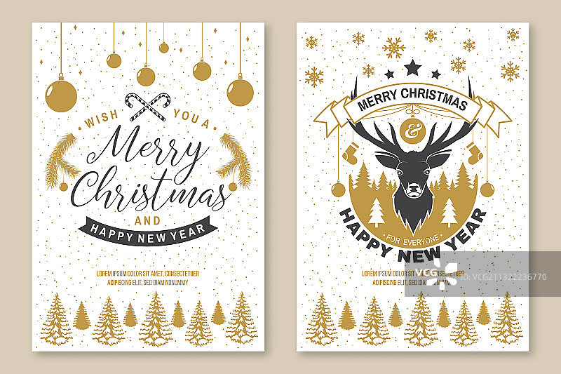 圣诞快乐和2021新年快乐套装图片素材