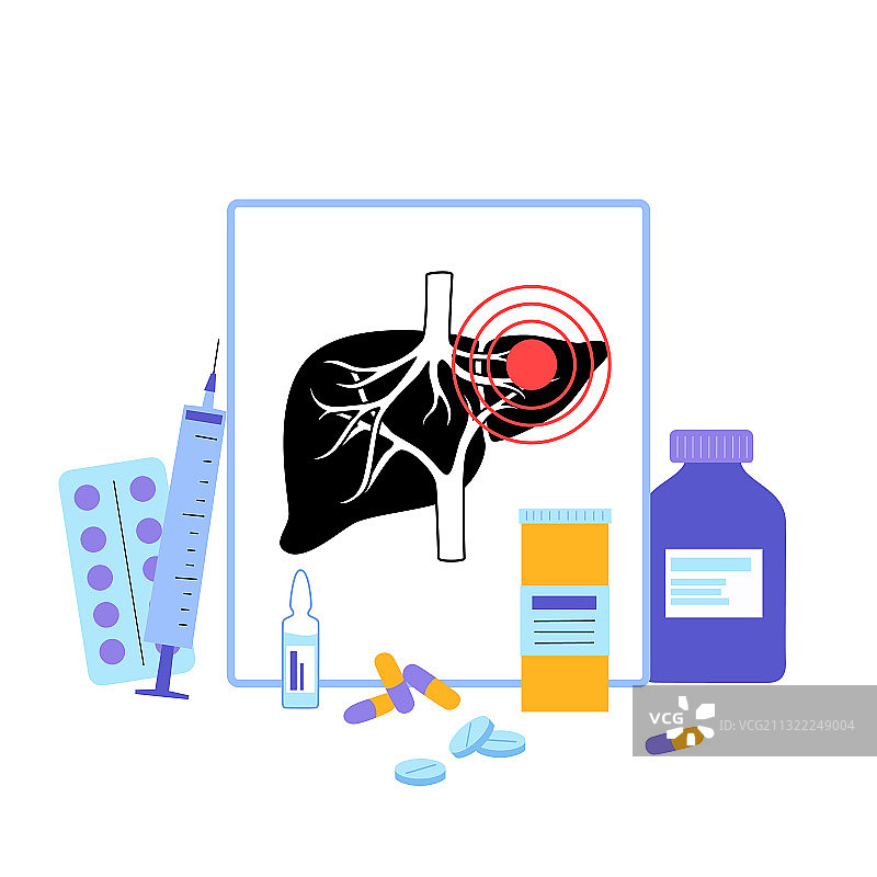 肝脏模板概念图片素材