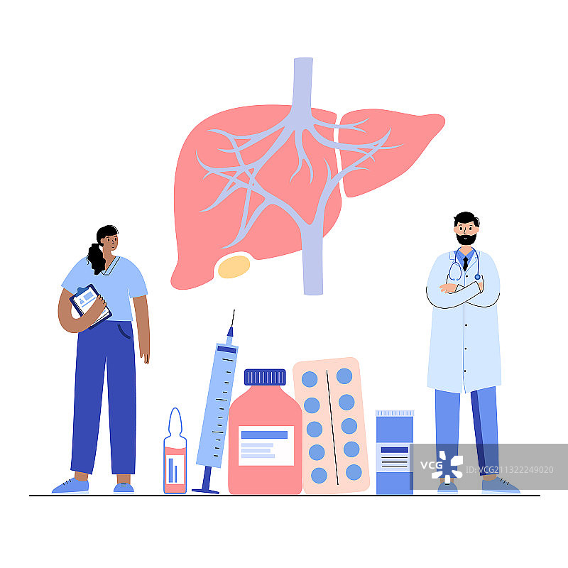 肝脏模板概念图片素材