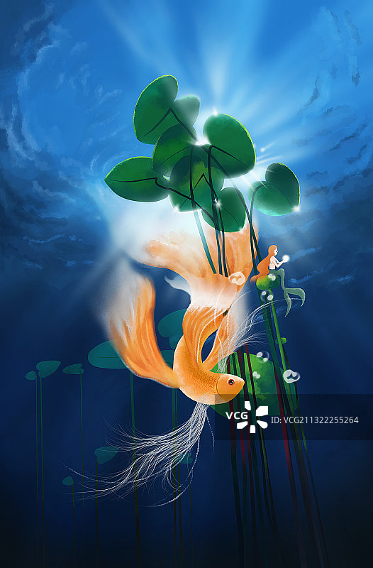 鱼戏莲叶间图片素材