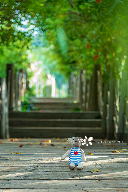 悠闲的度假时光，充满绿意的公园木制栈道上，坐着一个小熊玩偶图片素材