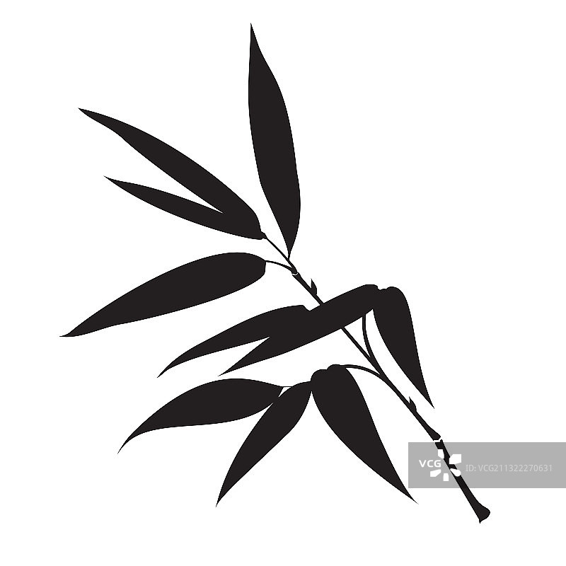 白色背景上的装饰竹枝图片素材