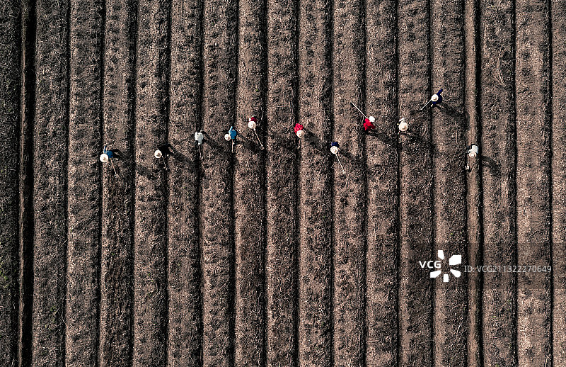 希望的田野图片素材