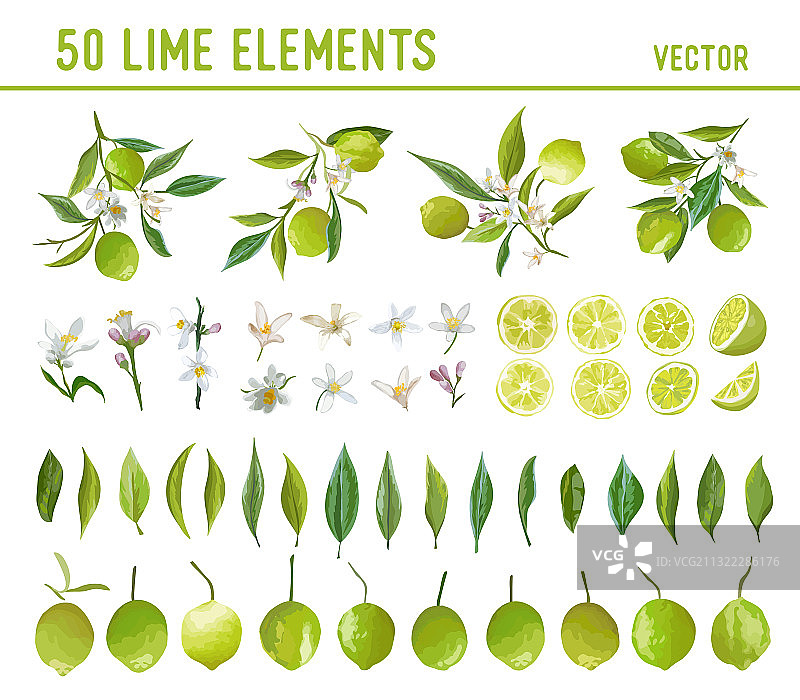 复古青柠设计元素柑橘水果图片素材