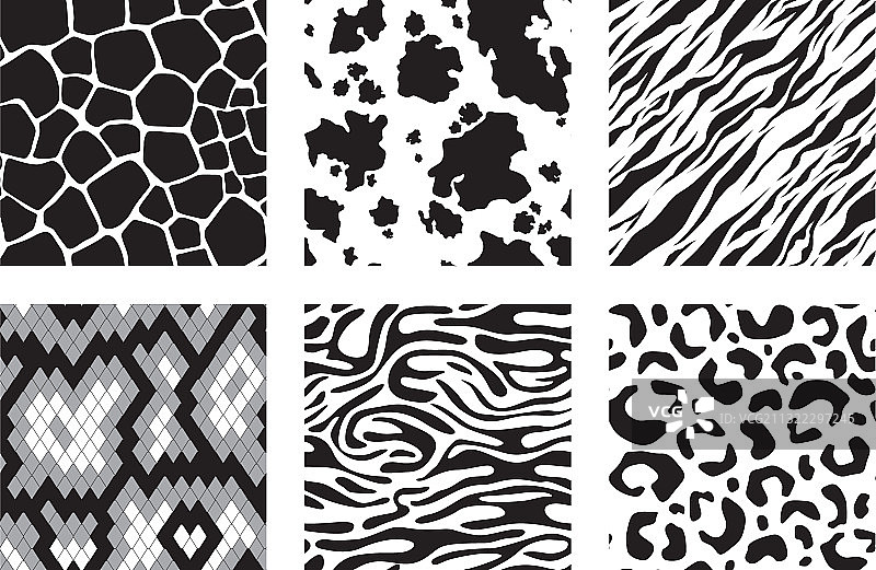 动物皮毛图案：老虎、长颈鹿和斑马图片素材