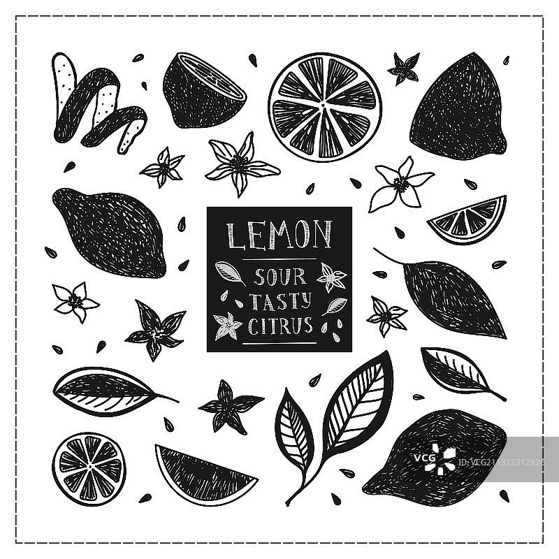 手绘水果、花卉和柠檬素材图片素材