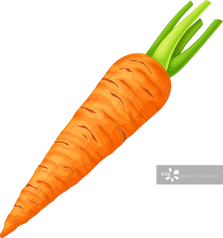 带切口顶部叶子元素的完整胡萝卜图片素材