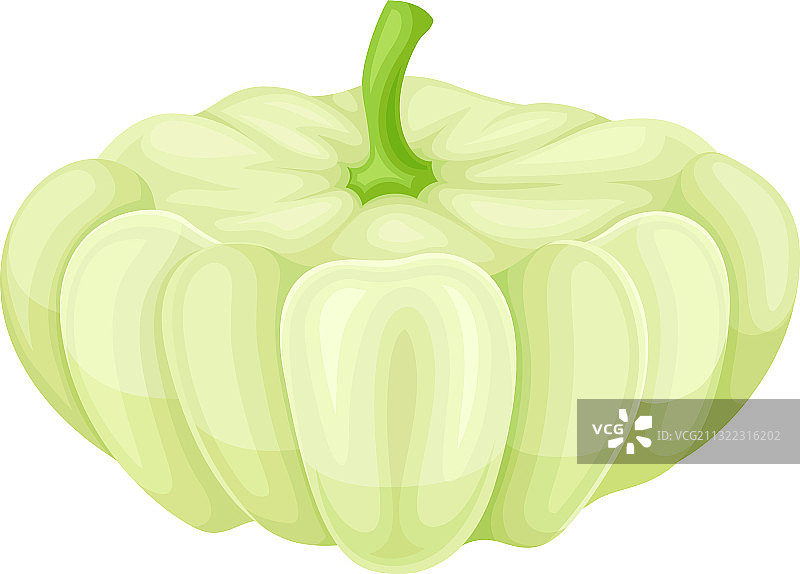 有机食品的成熟蔬菜南瓜灌木图片素材