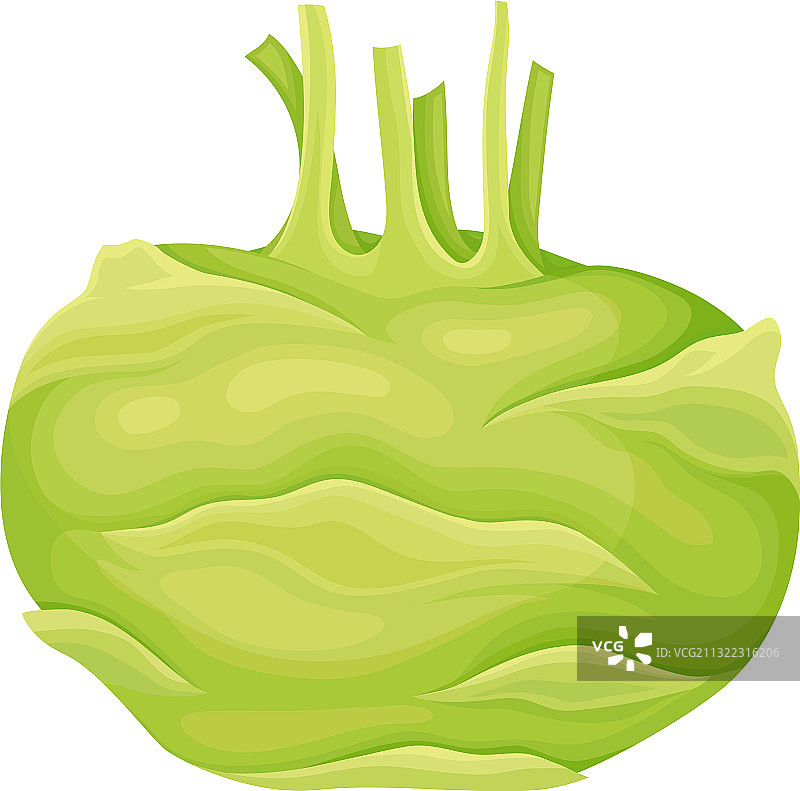 作为有机食品的羽衣甘蓝萝卜成熟蔬菜图片素材