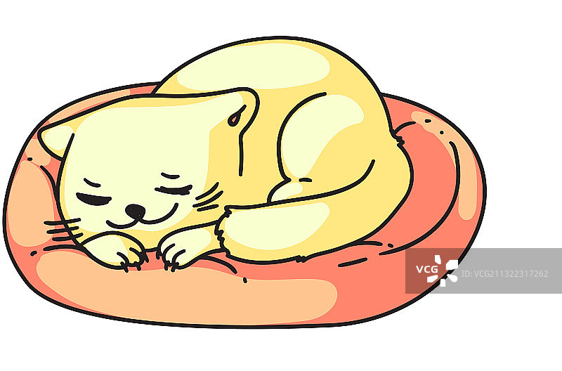 在白色背景上可爱的小猫睡觉做白日梦图片素材
