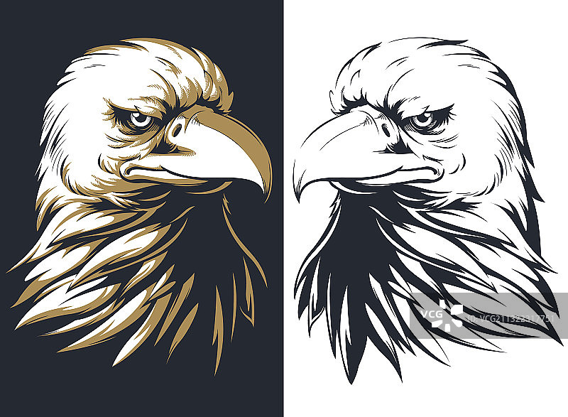 秃鹰头像剪影独立标志图片素材