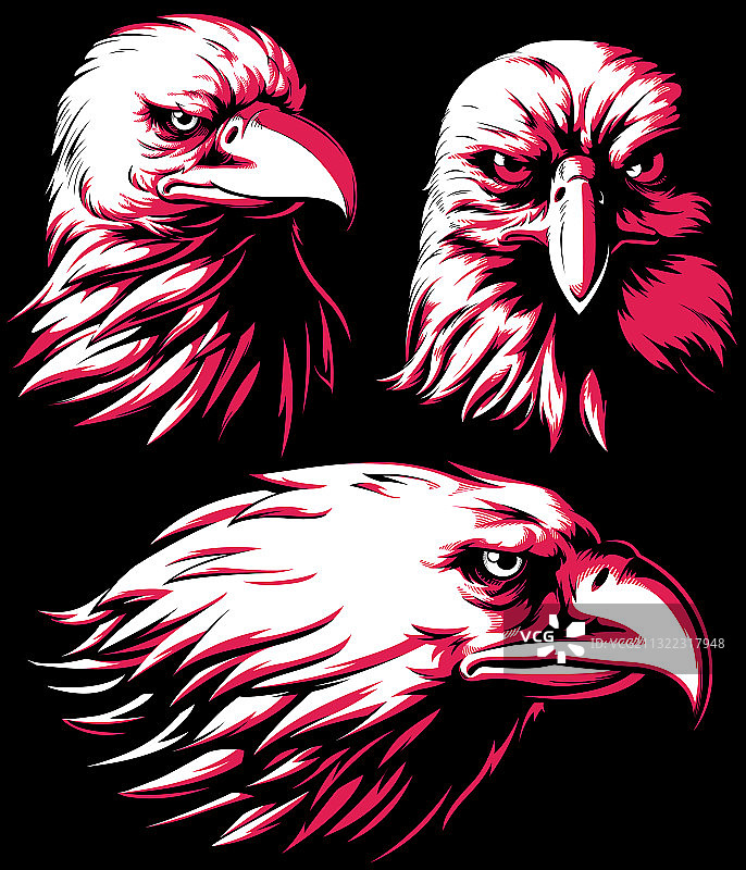 鹰隼头部标志剪影图片素材