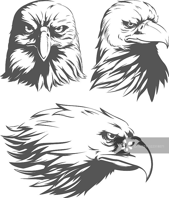 猎鹰头正面侧视剪影合集图片素材