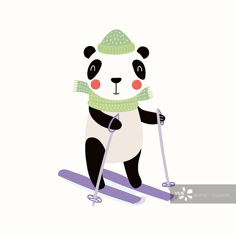 可爱的熊猫在冬天滑雪图片素材