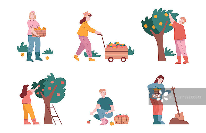 男人和女人在农场收获水果图片素材