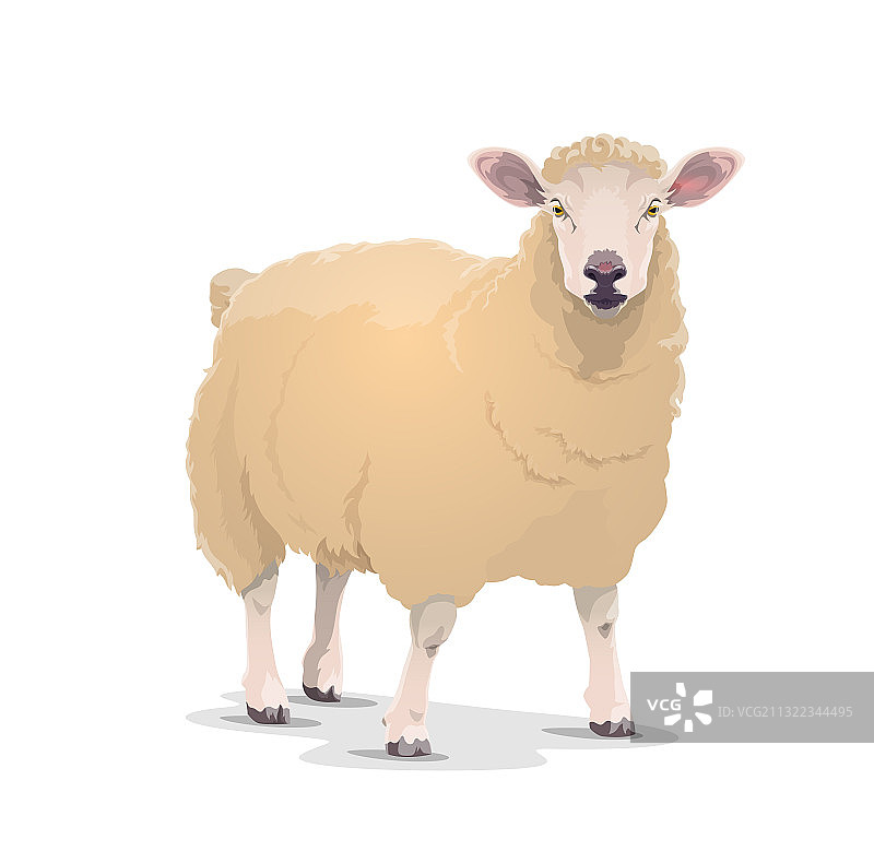 白色绵羊卡通动物图标图片素材