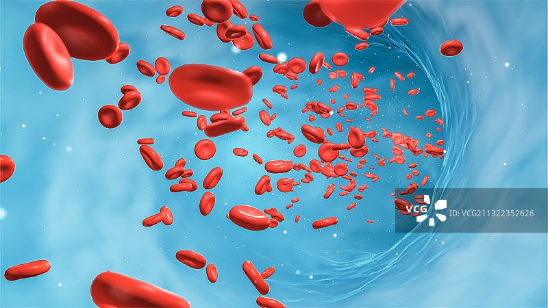 三维制图血管红细胞血小板图片素材