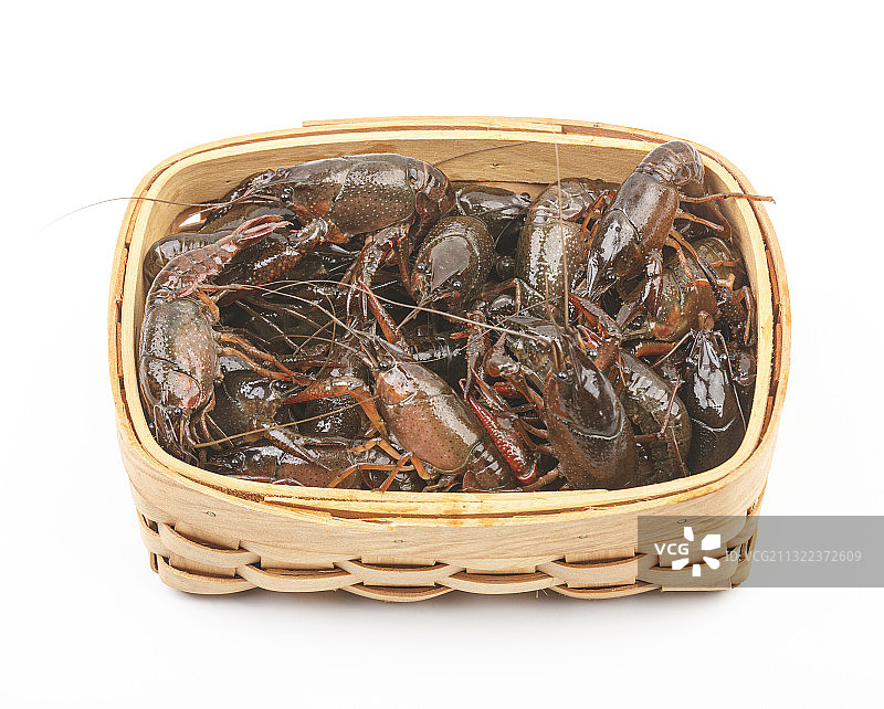 小龙虾图片素材