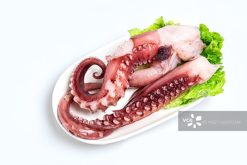 白底盘装生鲜鱿鱼须图片素材