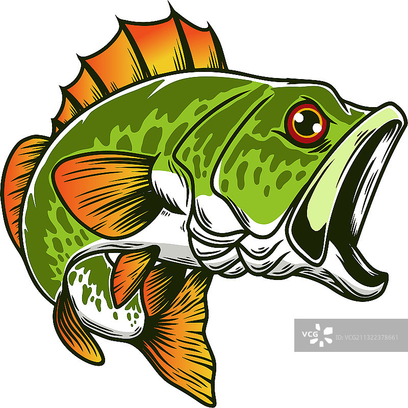 鲈鱼大鲈鱼钓鱼设计元素图片素材
