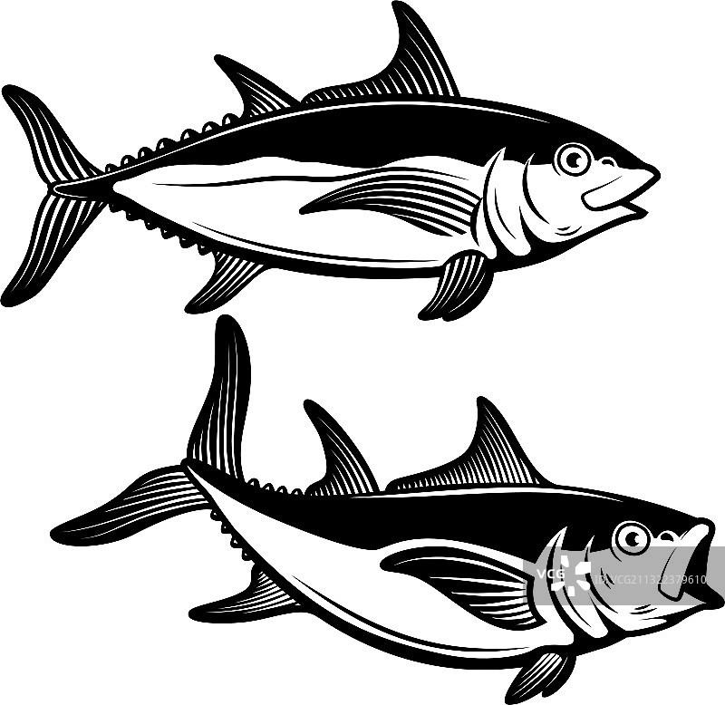 金枪鱼雕刻风格设计元素图片素材