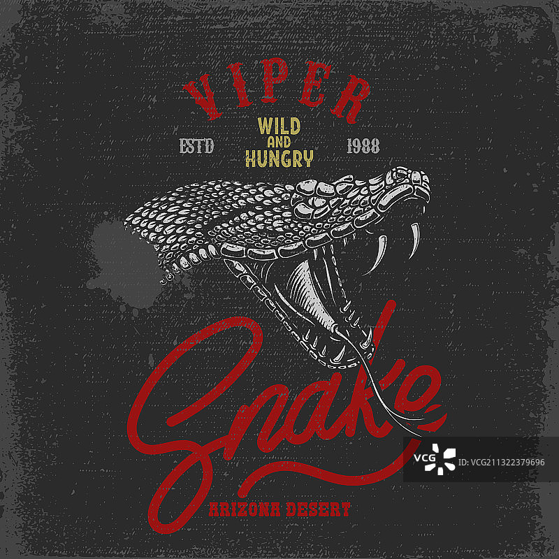 眼镜蛇蟒蛇蝰蛇复古蛇头图片素材