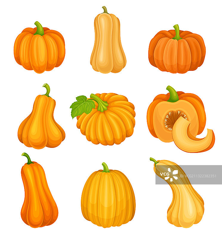 光滑带肋的亮橙色南瓜图片素材