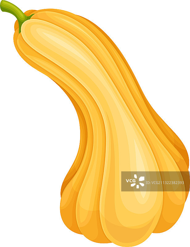 光滑表皮的成熟橙色南瓜图片素材