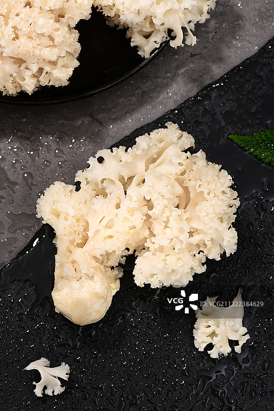 绣球菌图片素材