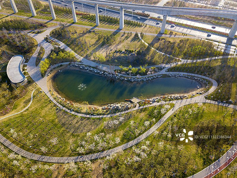 河南郑州经开区滨河公园樱花湖春天户外风光航拍图片素材