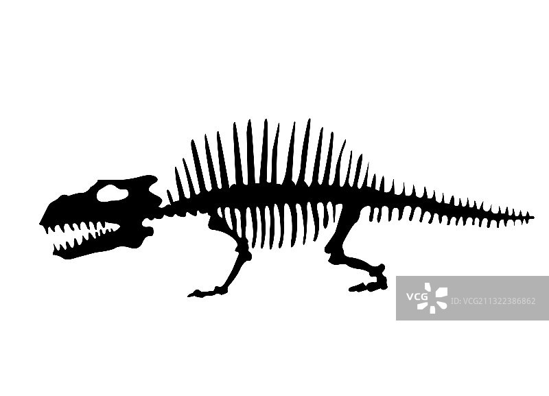 恐龙骨骼手部轮廓图片素材