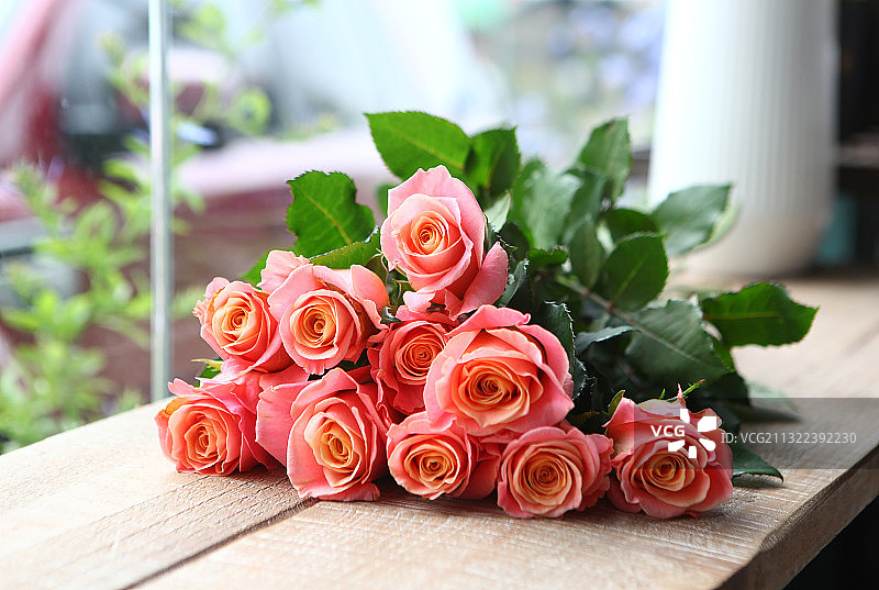 一花一世界图片素材