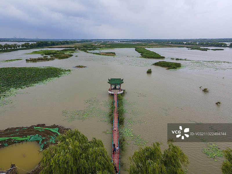 航拍济南白云湖湿地图片素材