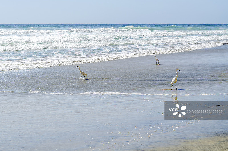美国托里松林海景图片素材