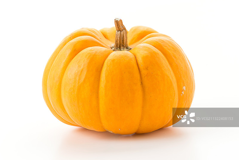 白色背景下的南瓜特写图片素材