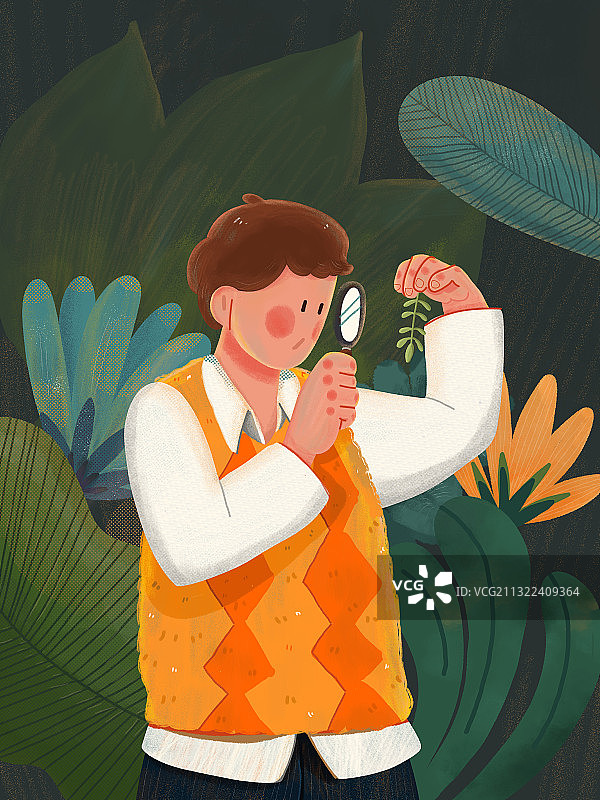 植物小百科图片素材