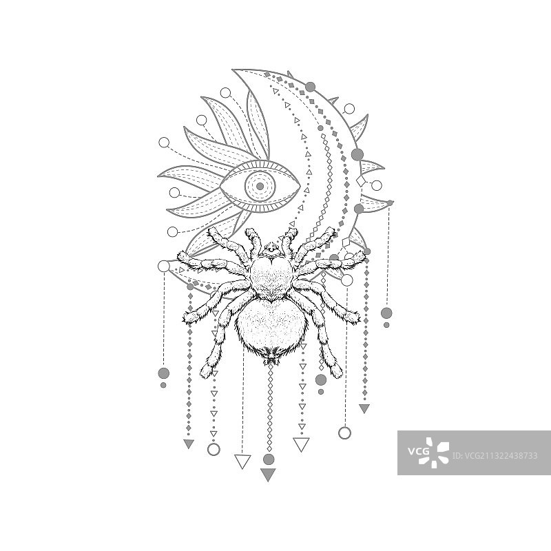 手绘蜘蛛和神圣几何图案图片素材