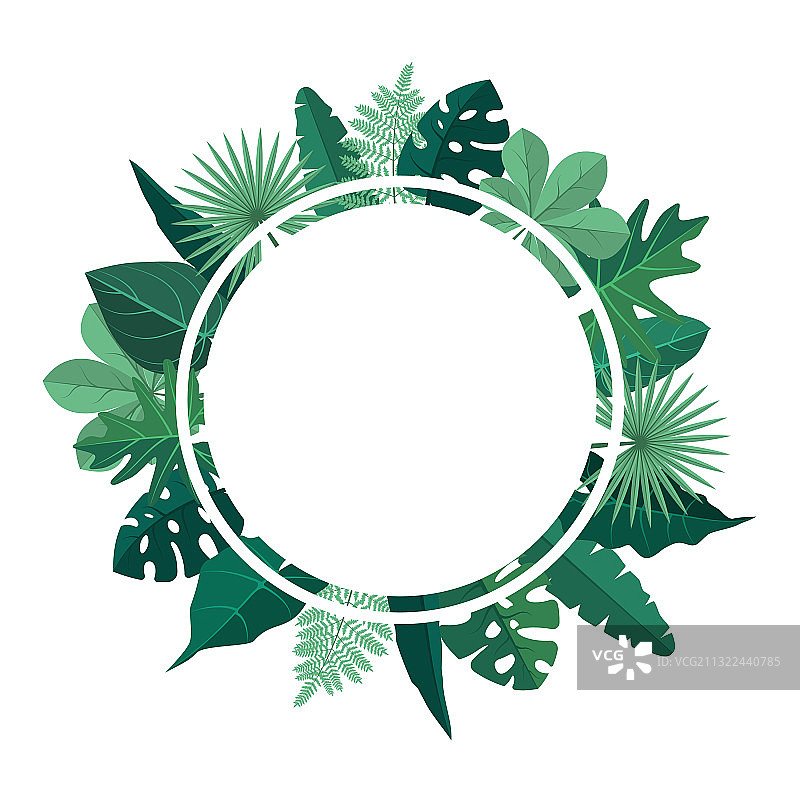 绿色热带植物夏季叶子圆圈边框图片素材