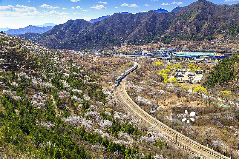 开往春天的列车——北京居庸关关沟花海图片素材