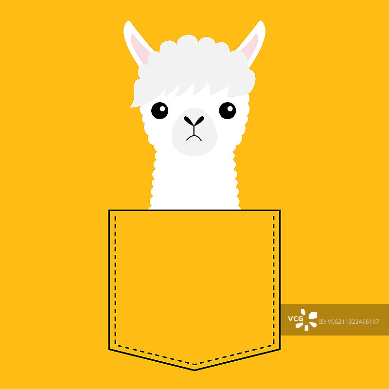 卡通羊驼头像图片素材