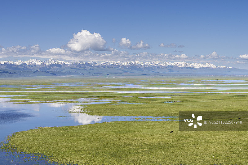 春季新疆巴音布鲁克草原自然风光图片素材