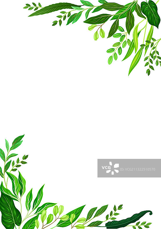 绿色叶子边角边框图片素材