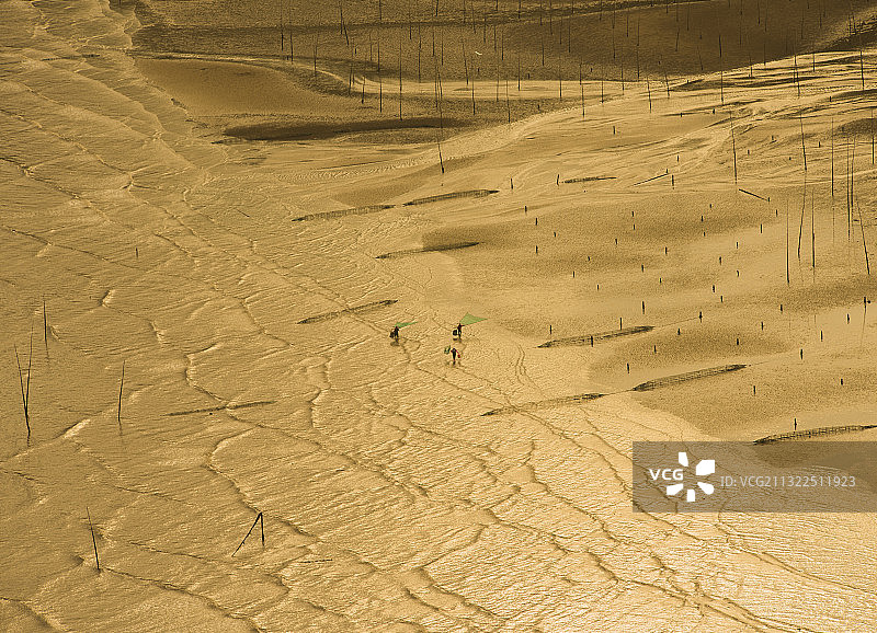 金色海滩图片素材