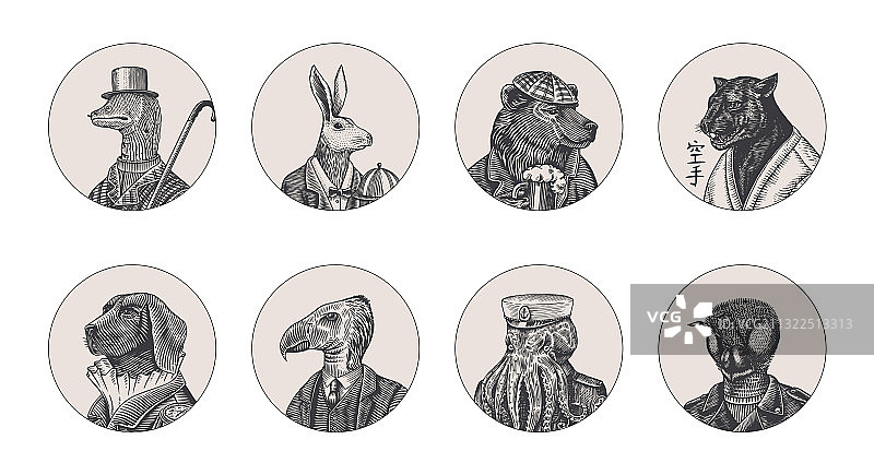 灰熊与啤酒杯、章鱼水手图片素材