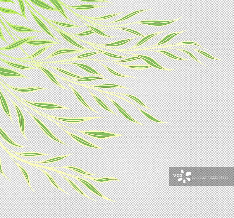 随风飘动的柳枝图片素材