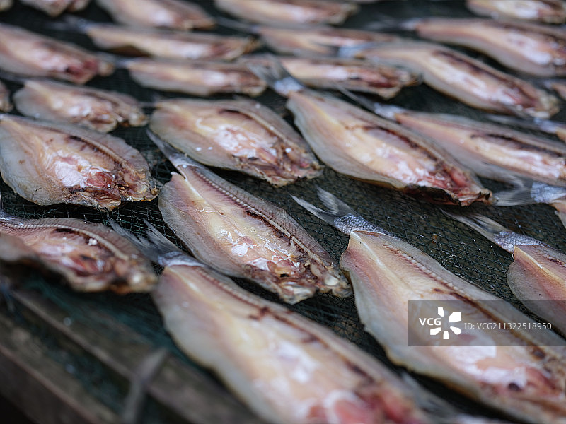 静物，风景，仓库图片素材