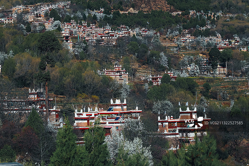 甲居藏寨之春是梨花满园图片素材
