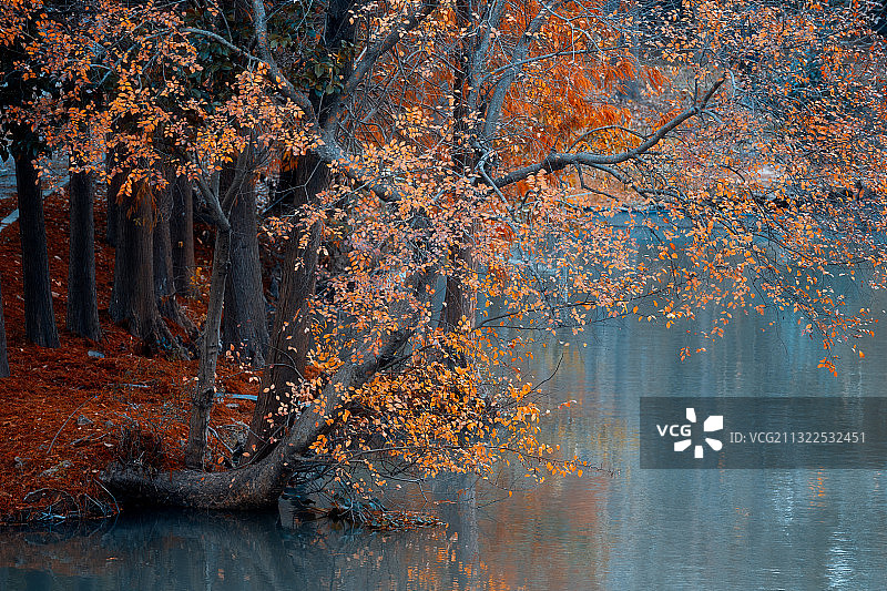 浦东金海湿地公园 上海图片素材