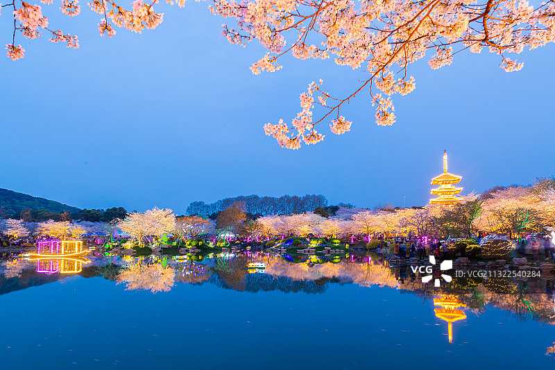 夜景—武汉东湖樱花园图片素材