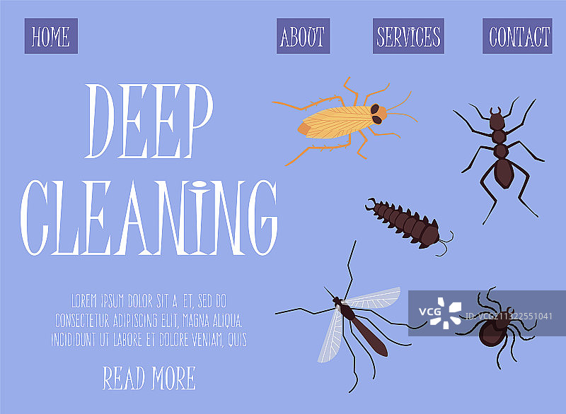 害虫防治和昆虫Web页面图片素材